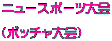 ニュースポーツ大会  （ボッチャ大会） 