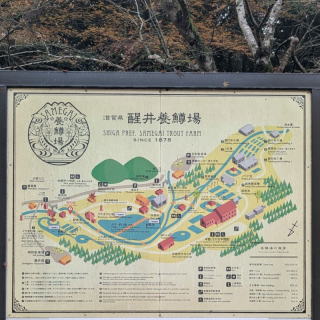 ����{����