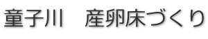 童子川　産卵床づくり
