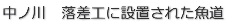中ノ川　落差工に設置された魚道