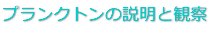 �v�����N�g���̐����Ɗώ@