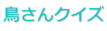 ������N�C�Y