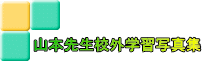 山本先生校外学習写真集 